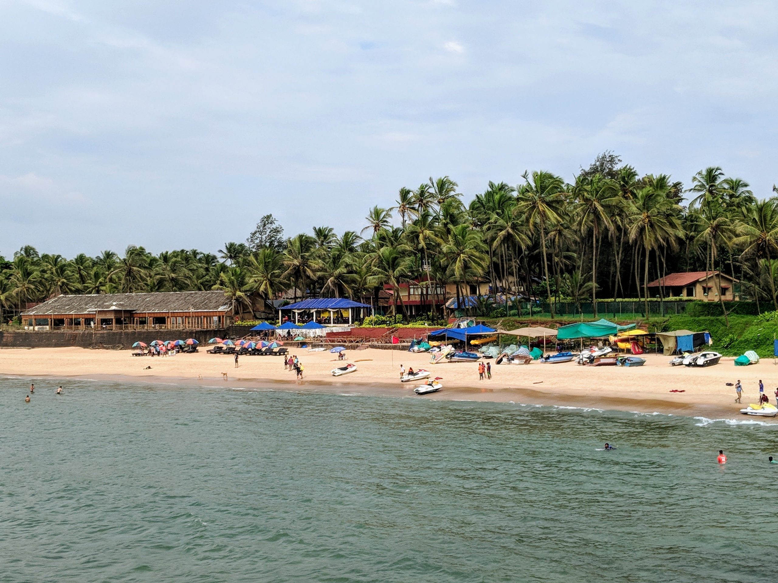 Explore a vibrant tropical beach in Goa, India, with palm trees and recreational activities.