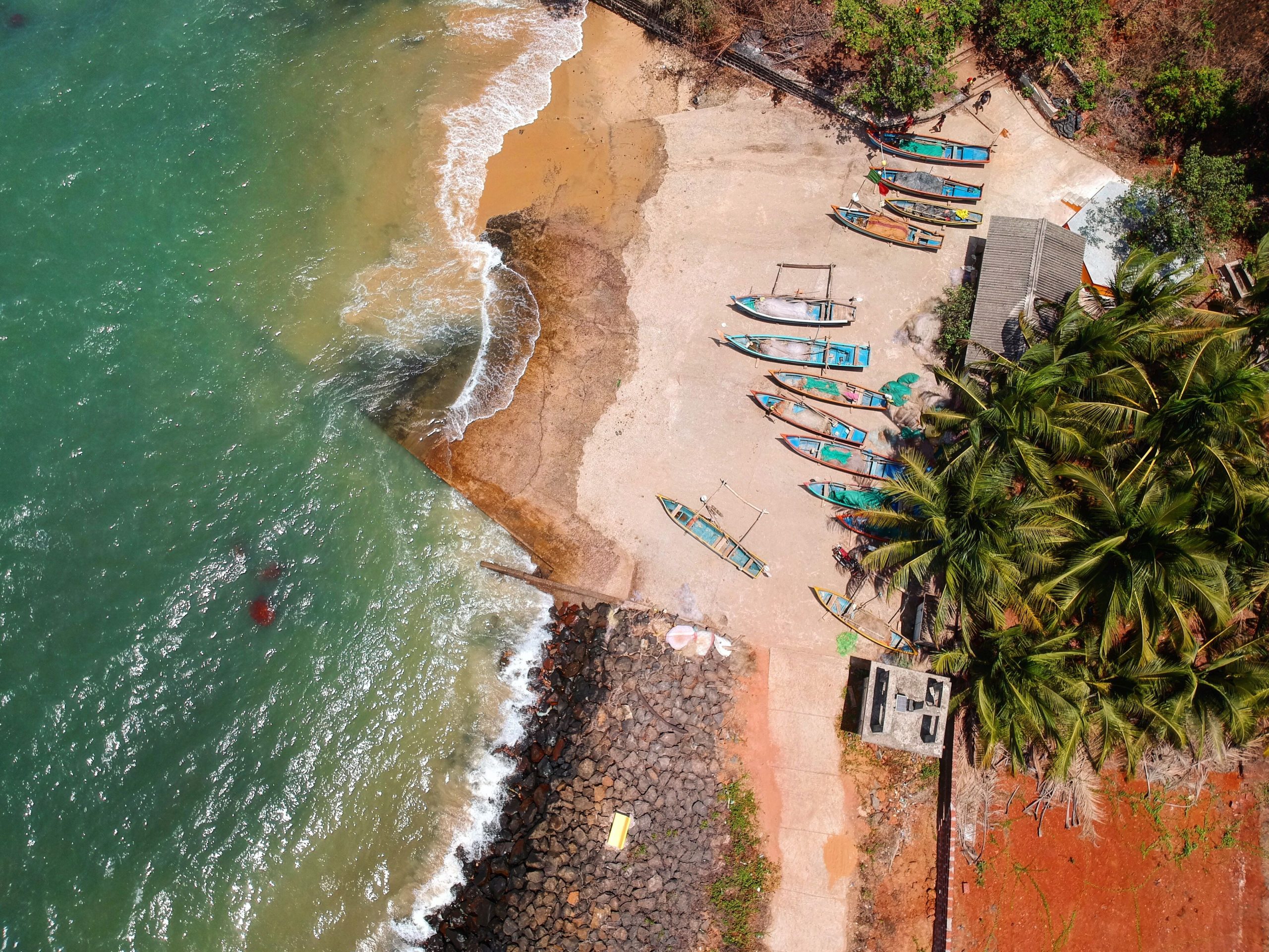 Stunning aerial view of colorful boats along the tropical Malvan beach in India, lined with lush palm trees.