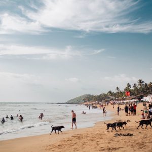 GOA