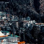 Charming hillside town nestled in the Himalayas showcasing scenic beauty and vibrant architecture.
