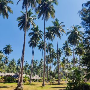 Andaman & NICOBAR