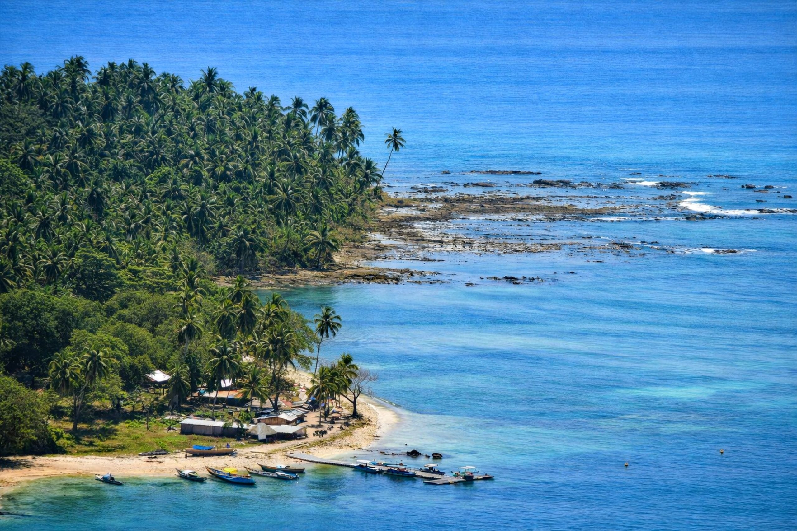 Aerial view of a tropical beach with palm trees and turquoise waters in the Andaman Islands, India.